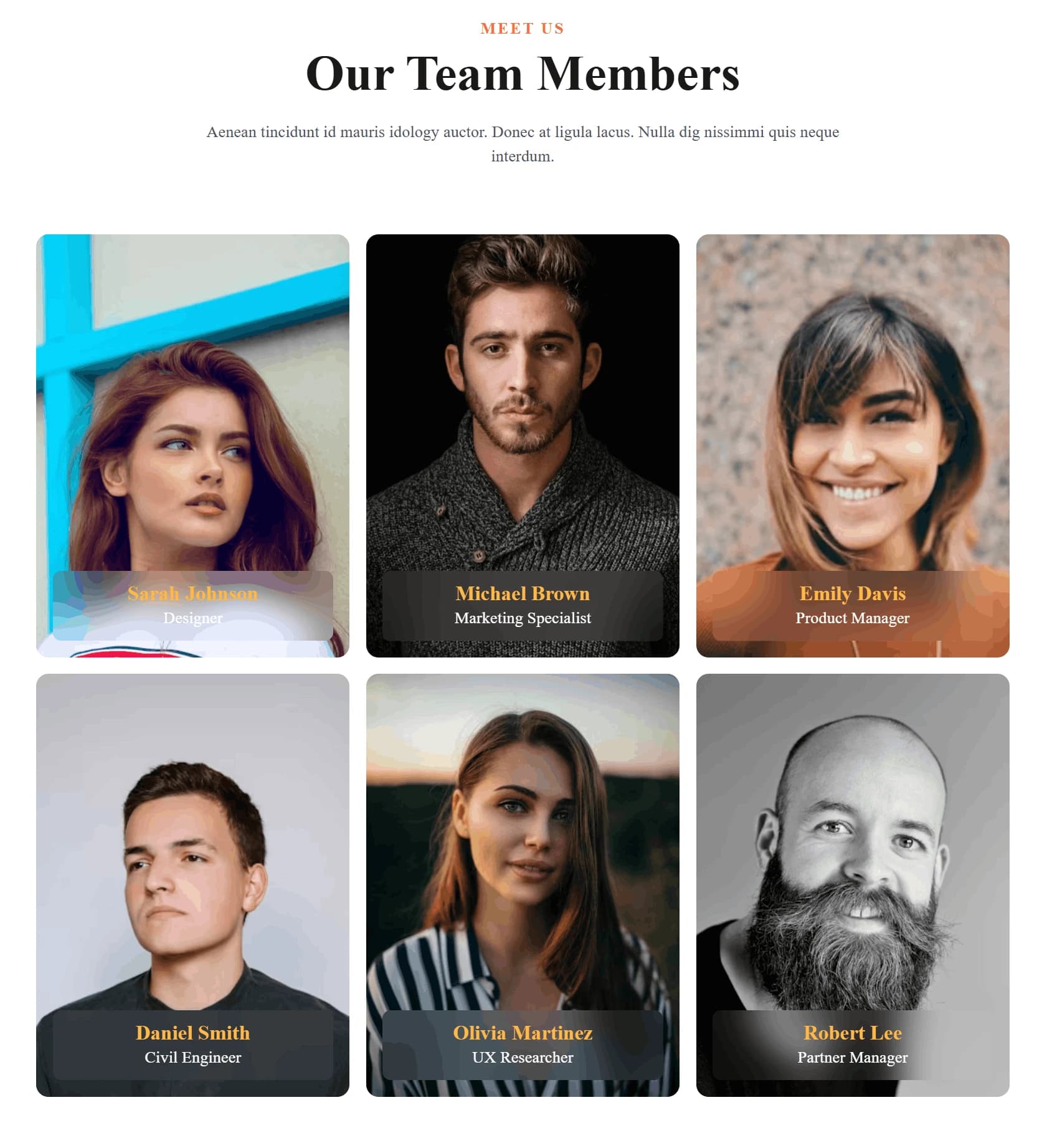 MeetOurTeam 6 Card