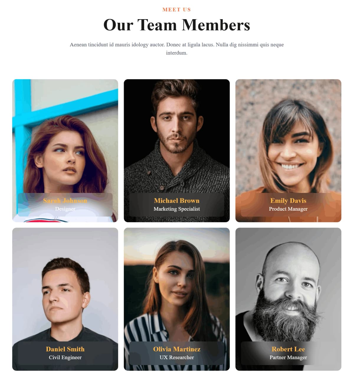 MeetOurTeam 6 Card